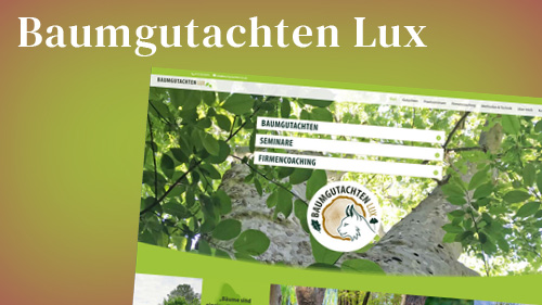 Webdesign für Baumgutachten Lux