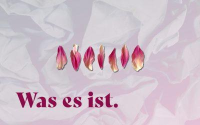 Warum ich in Büchern schnüffle