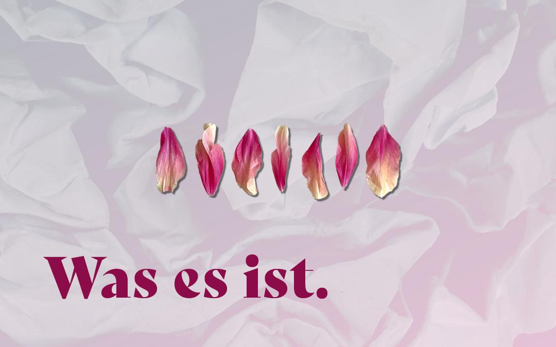 Jana Schlosser – Bücherschnüfflerin